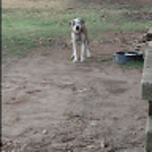 Meet your Posher, Jacklyn